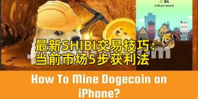 最新SHIBI交易技巧：当前市场5步获利法