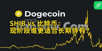 SHIB vs 比特币：现阶段谁更适合长期持有？
