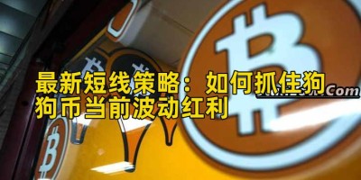 最新短线策略：如何抓住狗狗币当前波动红利