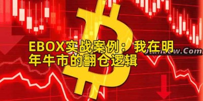 EBOX实战案例：我在明年牛市的翻仓逻辑