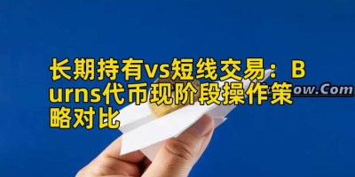 长期持有vs短线交易：Burns代币现阶段操作策略对比