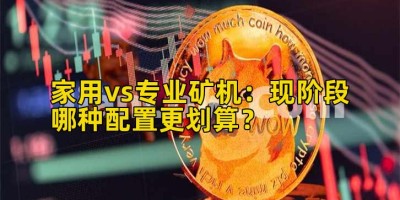 家用vs专业矿机：现阶段哪种配置更划算？