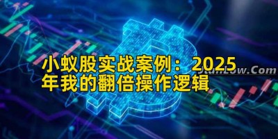 小蚁股实战案例：2025年我的翻倍操作逻辑