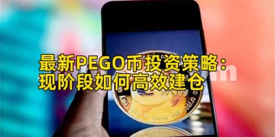 最新PEGO币投资策略：现阶段如何高效建仓