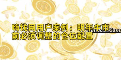 嗨钱网用户案例：明年牛市前必须调整的仓位配置