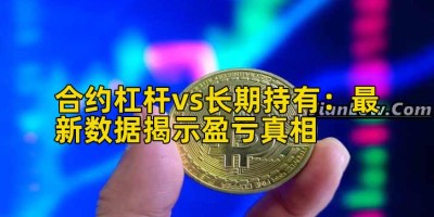 合约杠杆vs长期持有：最新数据揭示盈亏真相
