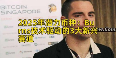 2025年潜力币种：Burns技术驱动的3大新兴赛道