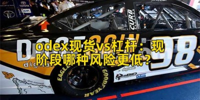 odex现货vs杠杆：现阶段哪种风险更低？