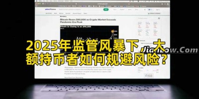 2025年监管风暴下，大额持币者如何规避风险？