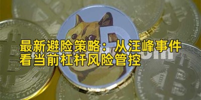 最新避险策略：从汪峰事件看当前杠杆风险管控