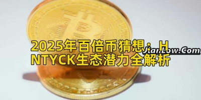 2025年百倍币猜想：HNTYCK生态潜力全解析