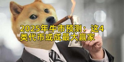 2025年牛市预测：这4类代币或成最大赢家