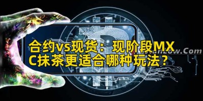 合约vs现货：现阶段MXC抹茶更适合哪种玩法？