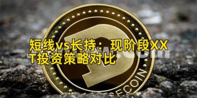 短线vs长持：现阶段XXT投资策略对比
