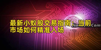 最新小蚁股交易指南：当前市场如何精准入场