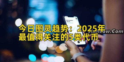今日图灵趋势：2025年最值得关注的5类代币