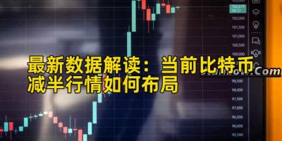 最新数据解读：当前比特币减半行情如何布局