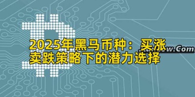 2025年黑马币种：买涨卖跌策略下的潜力选择