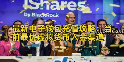 最新电子钱包充值攻略：当前最优虚拟货币入金渠道