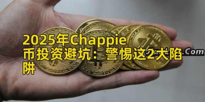 2025年Chappie币投资避坑：警惕这2大陷阱