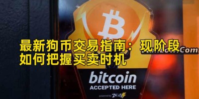 最新狗币交易指南：现阶段如何把握买卖时机