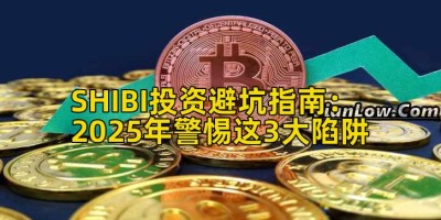 SHIBI投资避坑指南：2025年警惕这3大陷阱