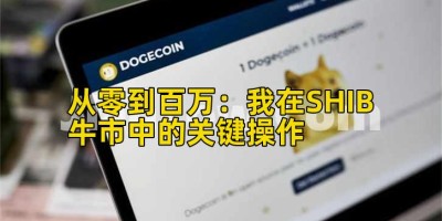 从零到百万：我在SHIB牛市中的关键操作