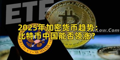 2025年加密货币趋势：比特币中国能否领涨？