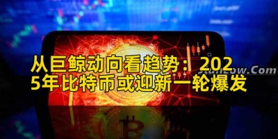 从巨鲸动向看趋势：2025年比特币或迎新一轮爆发