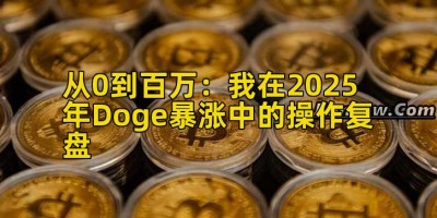 从0到百万：我在2025年Doge暴涨中的操作复盘