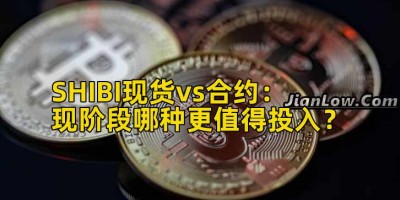 SHIBI现货vs合约：现阶段哪种更值得投入？