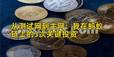 从测试网到主网：我在蚂蚁链上的3次关键投资