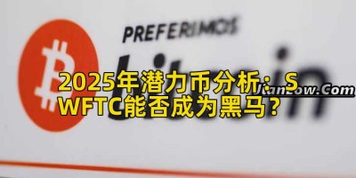 2025年潜力币分析：SWFTC能否成为黑马？
