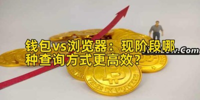 钱包vs浏览器：现阶段哪种查询方式更高效？