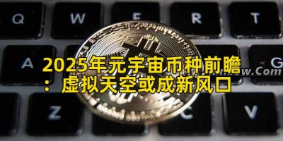 2025年元宇宙币种前瞻：虚拟天空或成新风口