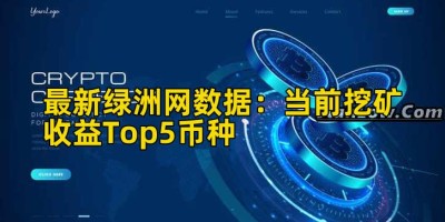 最新绿洲网数据：当前挖矿收益Top5币种