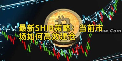 最新SHIB策略：当前市场如何高效建仓