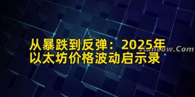 从暴跌到反弹：2025年以太坊价格波动启示录