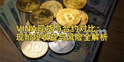 VINA现货与合约对比：现阶段收益与风险全解析