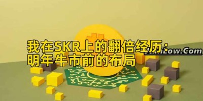 我在SKR上的翻倍经历：明年牛市前的布局