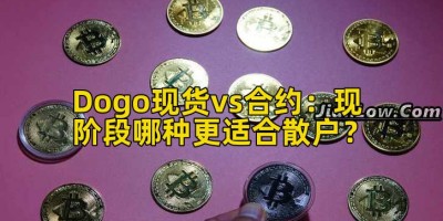 Dogo现货vs合约：现阶段哪种更适合散户？