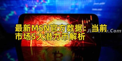 最新MSN官方数据：当前市场5大潜力币解析