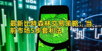 最新比特森林交易策略：当前市场5步套利法