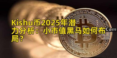 Kishu币2025年潜力分析：小市值黑马如何布局？