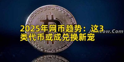 2025年网币趋势：这3类代币或成兑换新宠