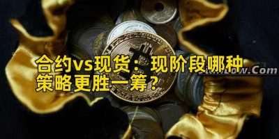 合约vs现货：现阶段哪种策略更胜一筹？