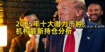 2025年十大潜力币种：机构最新持仓分析