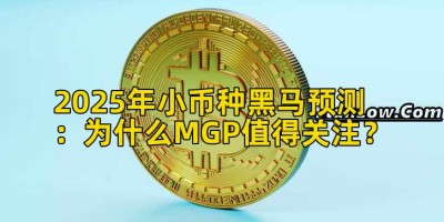 2025年小币种黑马预测：为什么MGP值得关注？