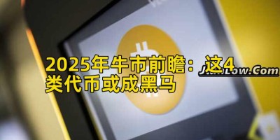 2025年牛市前瞻：这4类代币或成黑马