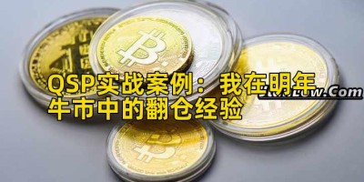 QSP实战案例：我在明年牛市中的翻仓经验